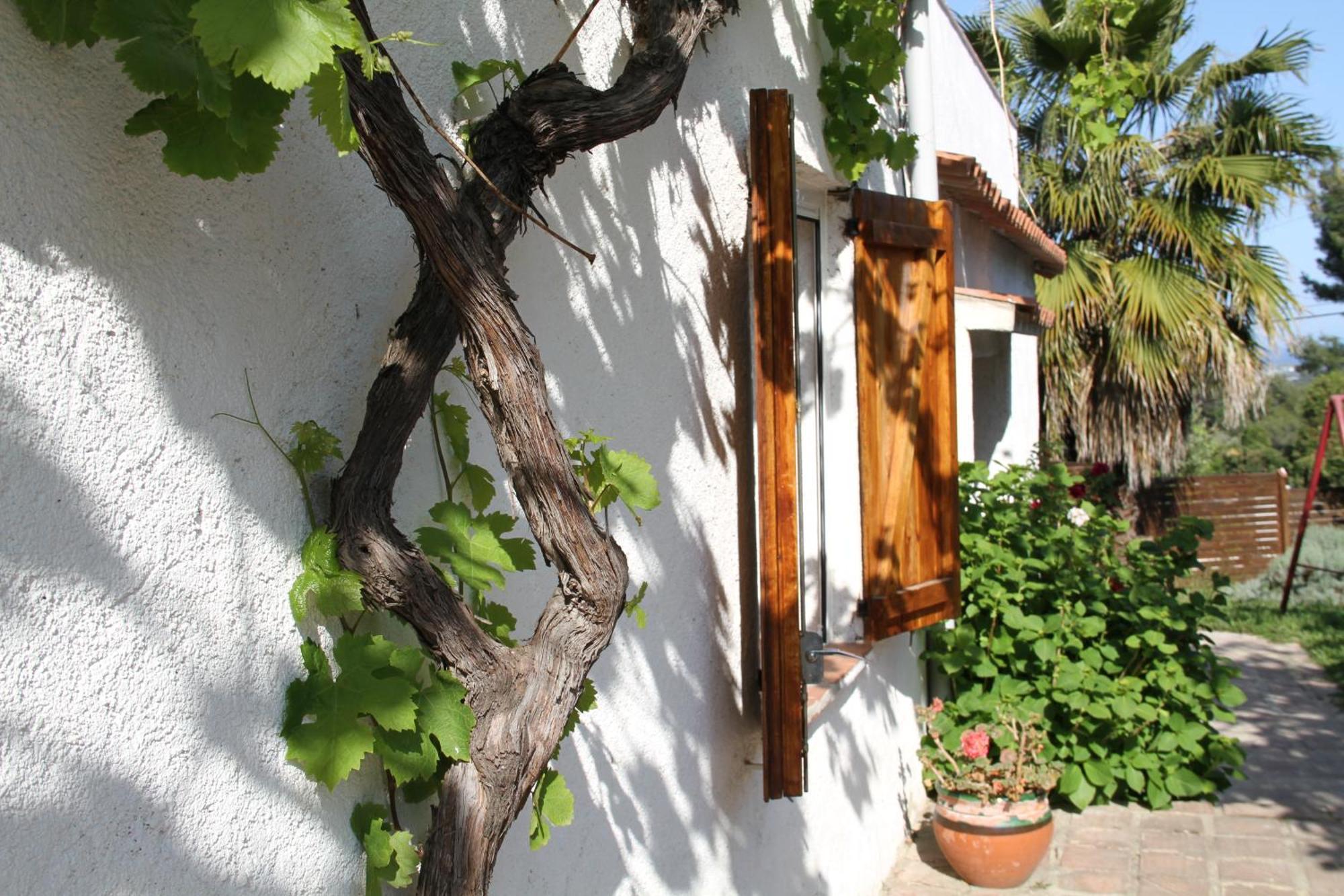 Masia Can Magan Lux, Ideal Grupos 20Pax Palafolls Exterior foto